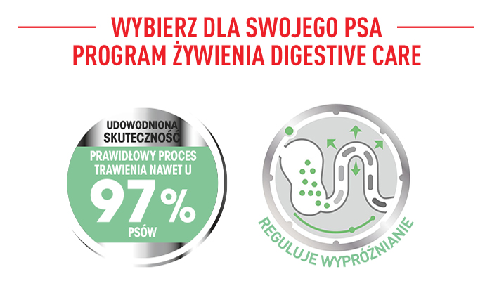 ROYAL CANIN CCN Maxi Digestive Care